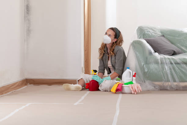 Reliable Mold Testing contractor in Brooklyn, MD by WQB Mold Removal
